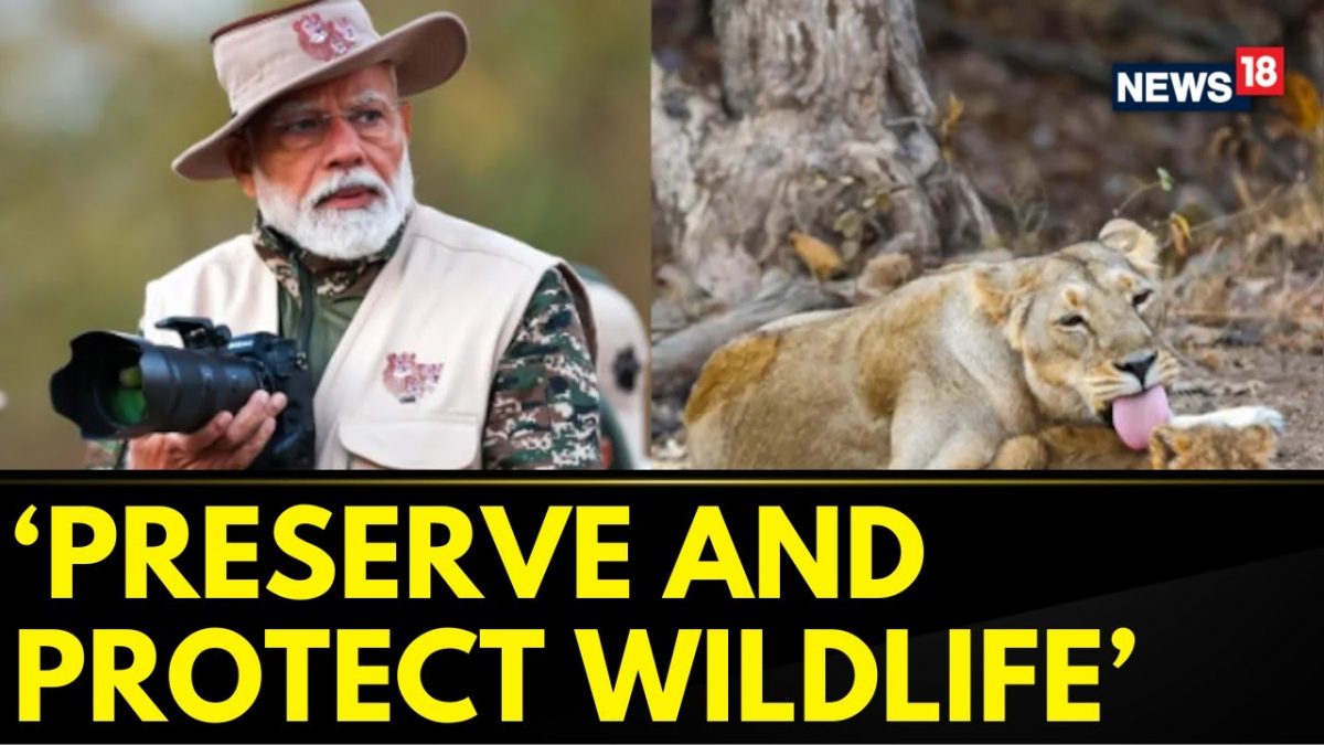 PM Narendra Modi Goes On Lion Safari At Gir Wildlife Sanctuary On World ...
