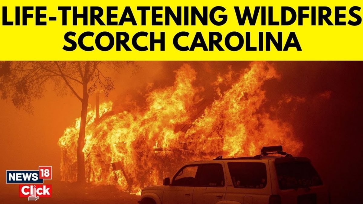 Carolina Wildfires Scorch Thousands Of Acres Of Land, Prompt State Of Emergency | News18 | N18G Carolina Wildfires Scorch Thousands Of Acres Of Land, Prompt State Of Emergency | News18 | N18G