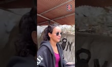 Tripti Dimri Setting Some Solid Fitness Goals | BOllywood Celebrities | N18S | #shortvideos Tripti Dimri Setting Some Solid Fitness Goals | BOllywood Celebrities | N18S | #shortvideos