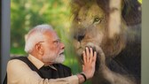 From Lions To Orangutans And Zebras, PM Modi's Day Out With Vantara's Animals | In Pics Photogallery widget
