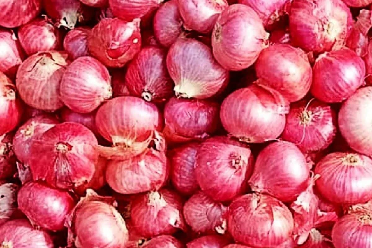 Here’s Why People Carry Onions In Their Pockets In The Scorching Indian Summer