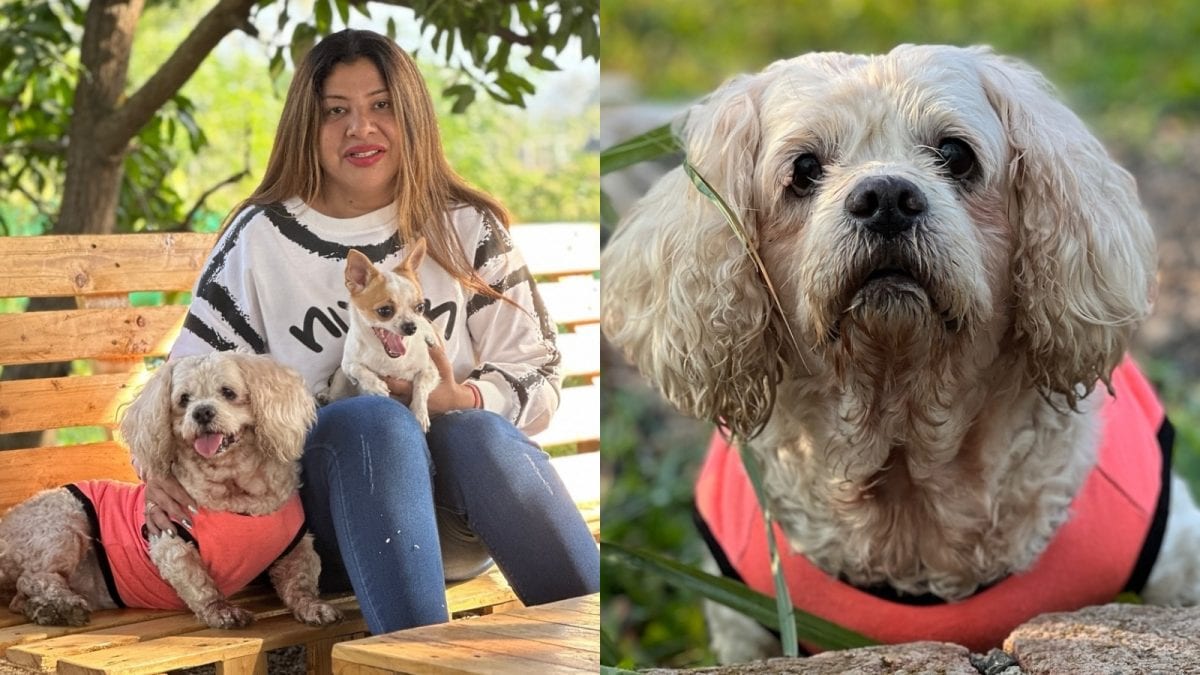 Sambhavna Seth Mourns The Loss Of Her 16-Year-Old Pet Dog, Cherry: ‘She Took A Part Of Us With Her’ Sambhavna Seth Mourns The Loss Of Her 16-Year-Old Pet Dog, Cherry: ‘She Took A Part Of Us With Her’
