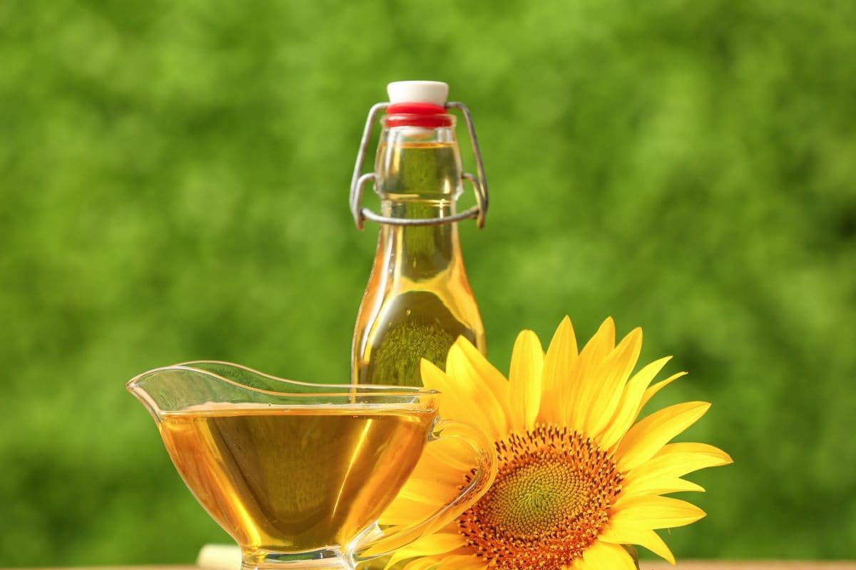 3 Long-Term Effects of Consuming Sunflower Oil on Heart Health