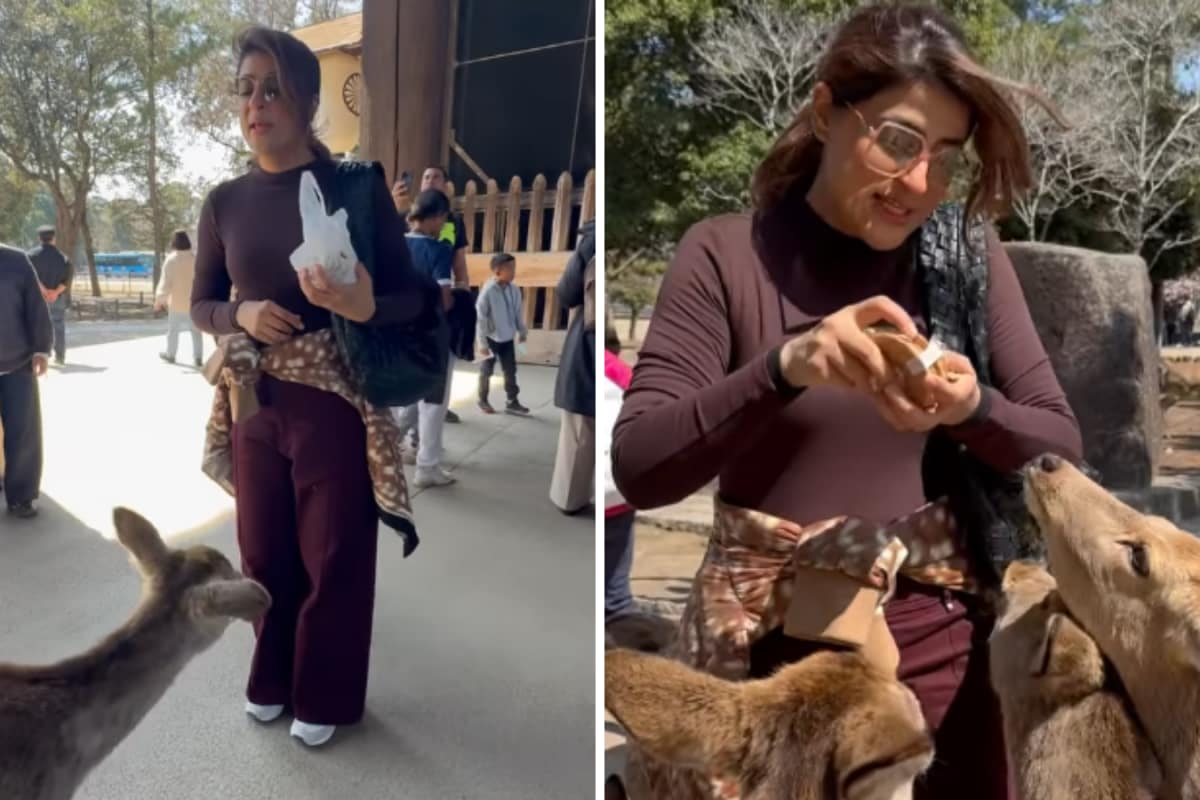 Tahira Kashyap Can't Get Enough Of This Deer Who 'Bows Down In Gratitude' For The Biscuit It Gets