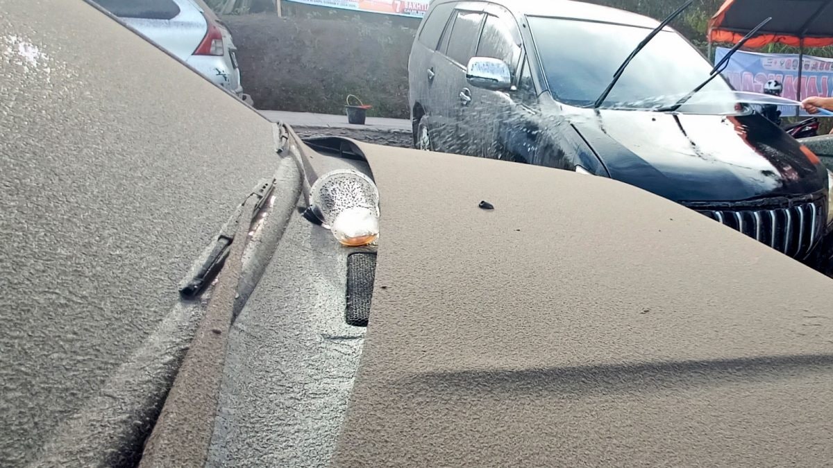 Delhi Govt Mulls Ban On Car-Wash Products, Eyes Yamuna Cleanup