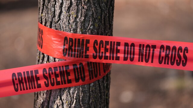 Maria Denisa Paun, 30, was found beheaded and stuffed in a suitcase near Florence | Representative image