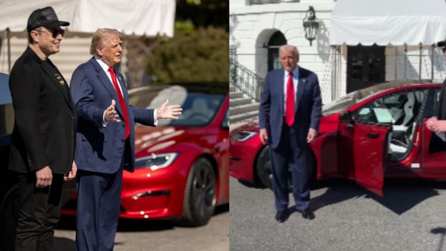 Trump buys Tesla to show his support for Elon Musk amid backlash. 