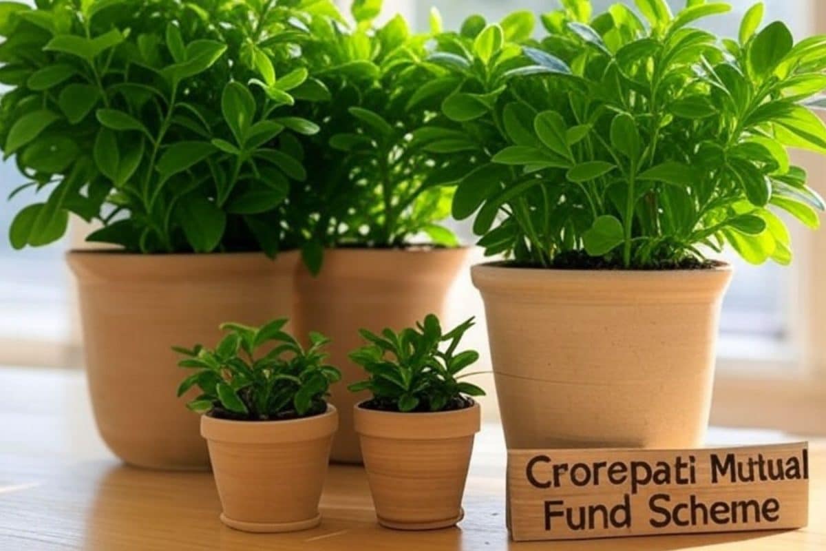 Crorepati Mutual Fund Scheme: Rs 10,000 Monthly Investment Creates Rs 6.75 Crore In 32 Years; Check How