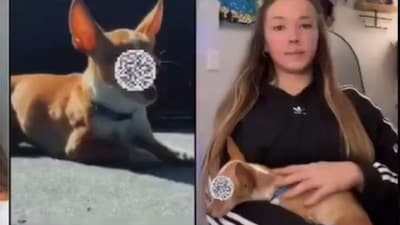 Female Influencer Arrested For Raping Dog, Caught After She Posted Sex