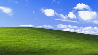 Remember Windows XP's Iconic Wallpaper? Here's What The Once-Vibrant ...