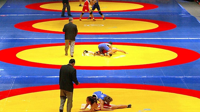 Wrestling Representational Image.