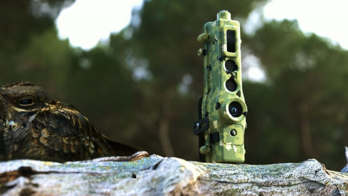 UP To Get AI-Enabled Cameras To Monitor Wildlife, Keep Check On Man ...