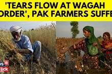 India Halts Indus Water Treaty – Pakistani Farmers Fear Crisis