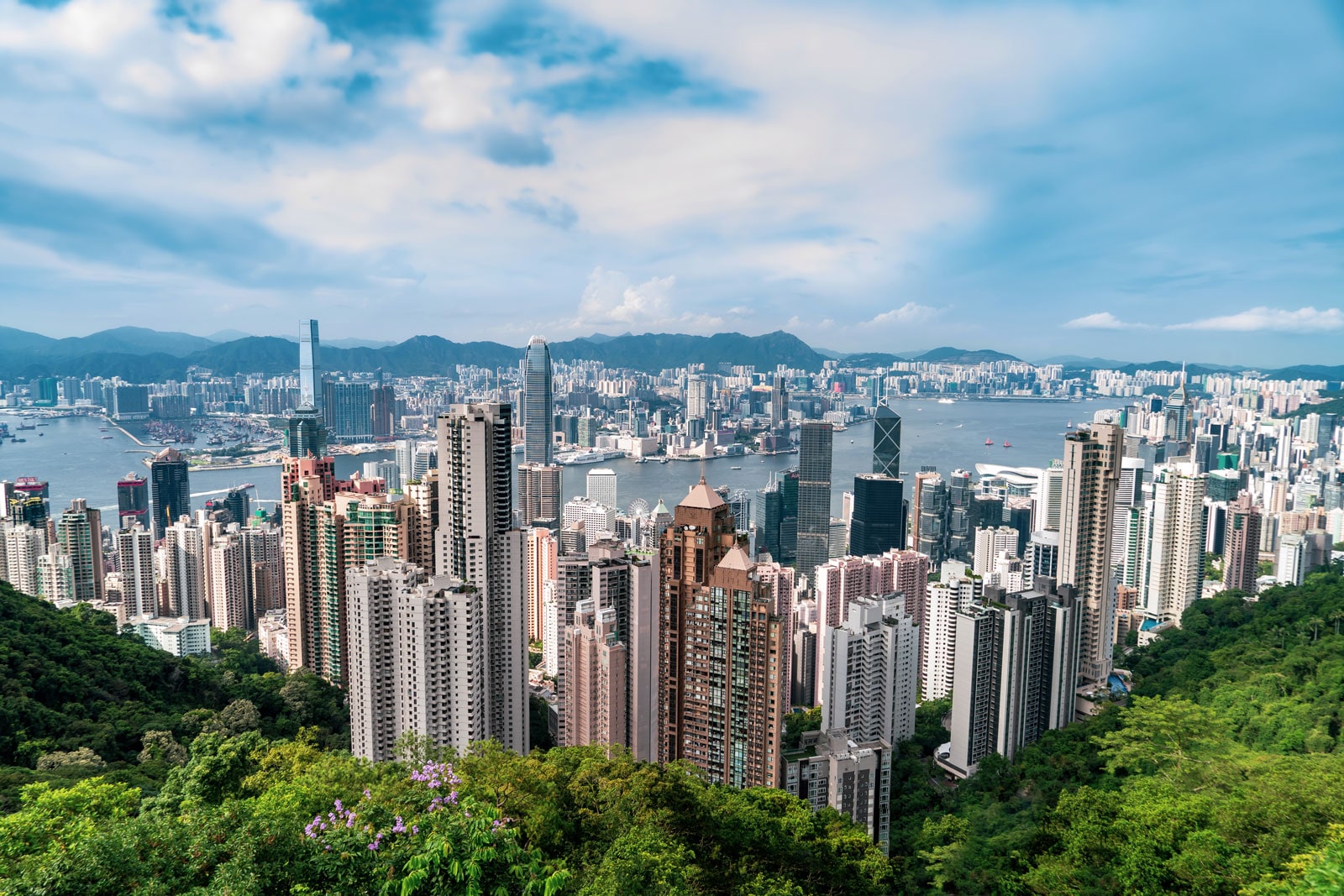 Hong Kong: Despite geopolitical shifts, Hong Kong remains a vital financial hub with 66 billionaires. (File Photo) Hong Kong: Despite geopolitical shifts, Hong Kong remains a vital financial hub with 66 billionaires. (File Photo)