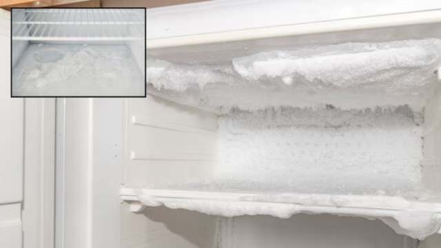 These steps will not only prevent excessive ice build-up but also extend the lifespan of your refrigerator. (News18 Hindi)