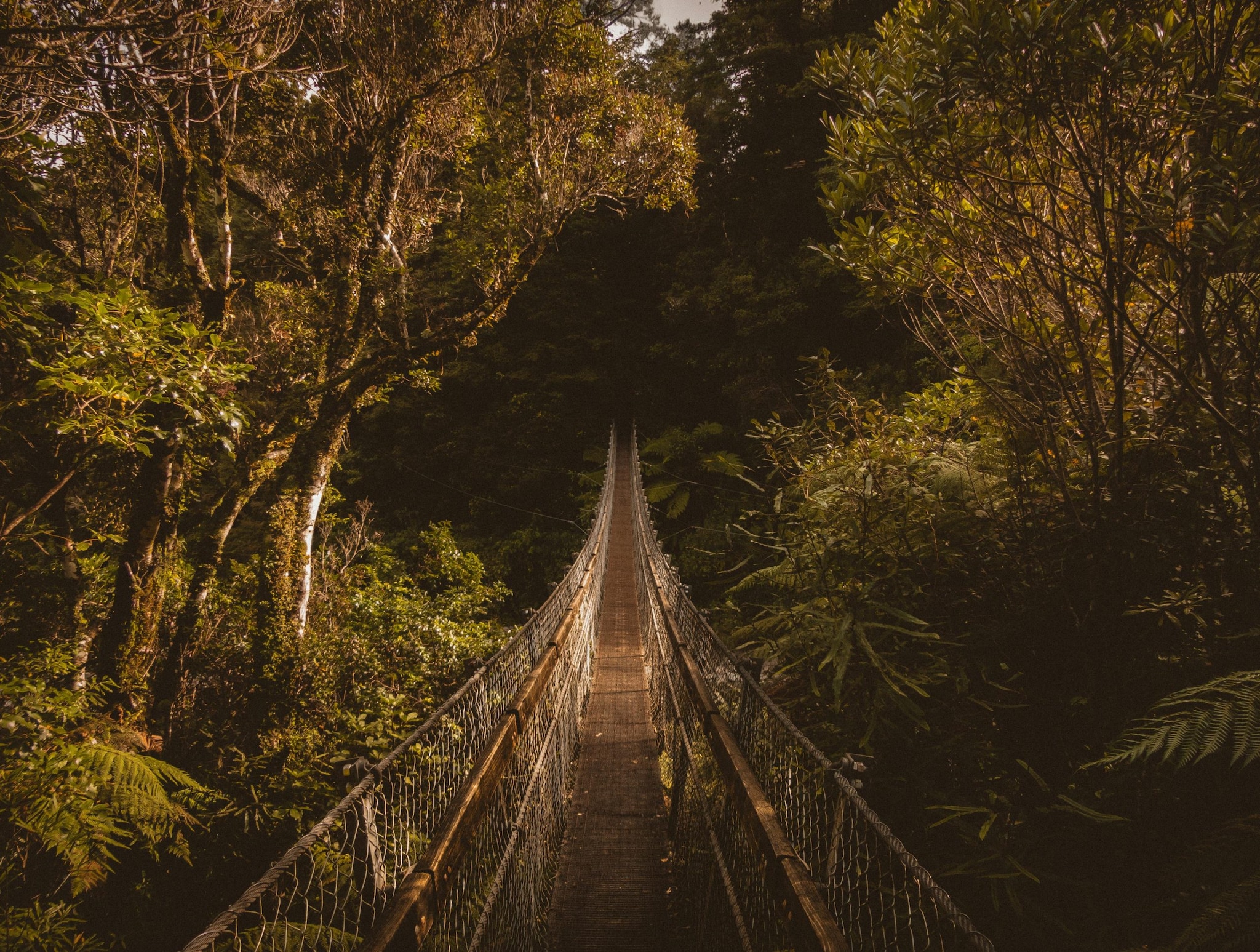 Aries: Bold and adventurous Aries would love the rugged landscapes of New Zealand. Whether it is bungee jumping, skydiving, or hiking the stunning mountain trails, it’s the perfect destination for adventure. (Image: Pexels) Aries: Bold and adventurous Aries would love the rugged landscapes of New Zealand. Whether it is bungee jumping, skydiving, or hiking the stunning mountain trails, it’s the perfect destination for adventure. (Image: Pexels)