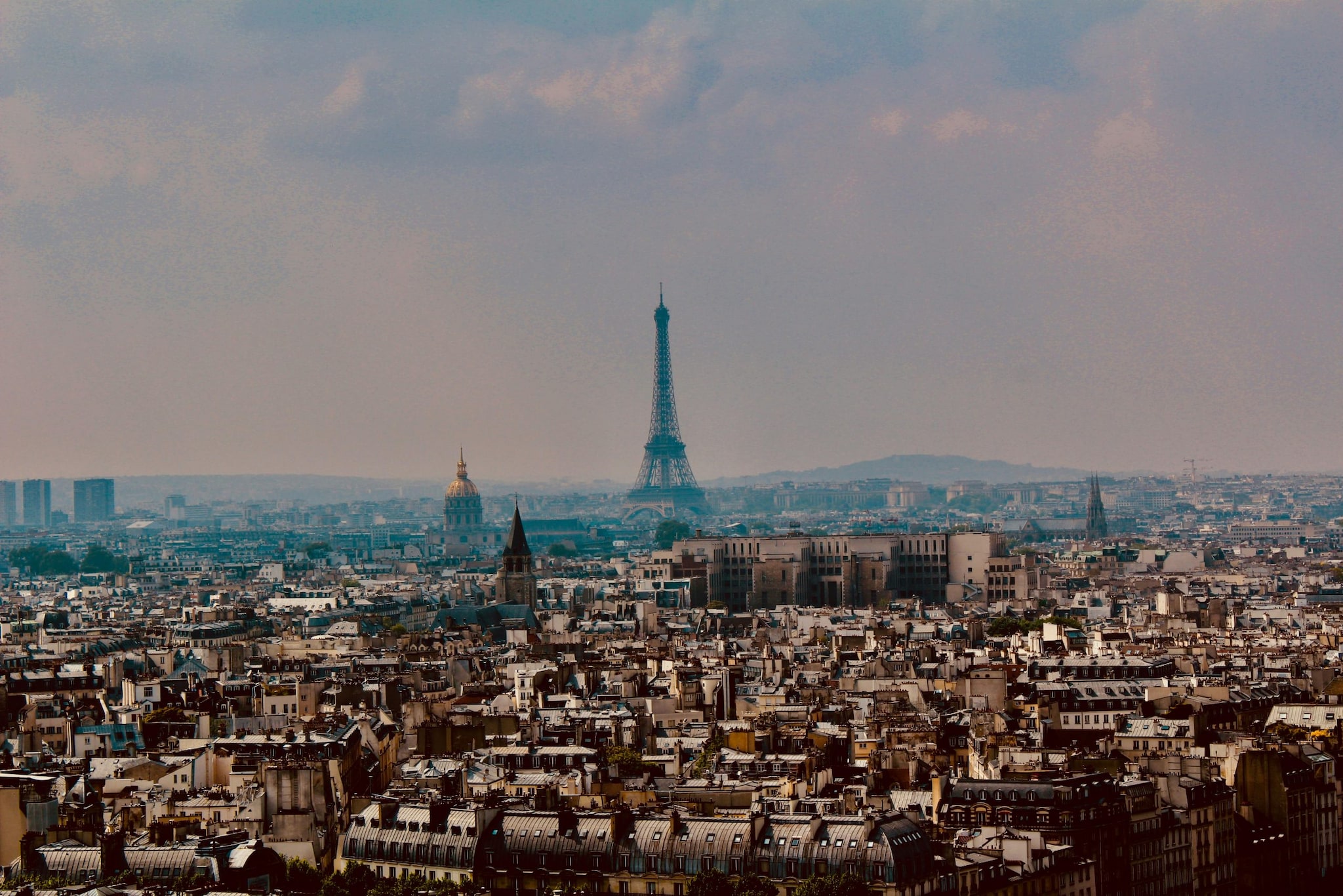 Taurus: They crave luxury, comfort and indulgence. Paris, France is the best place to bask in redefined elegance, savour fine wines, or unwind in the lavender fields. (Image: Pexels) Taurus: They crave luxury, comfort and indulgence. Paris, France is the best place to bask in redefined elegance, savour fine wines, or unwind in the lavender fields. (Image: Pexels)