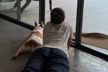Naga Chaitanya Shares Photo Of Sobhita Dhulipala And Pooch Hash Lounging, Fans Ask 'Samantha's Dog?' Naga Chaitanya Shares Photo Of Sobhita Dhulipala And Pooch Hash Lounging, Fans Ask 'Samantha's Dog?'