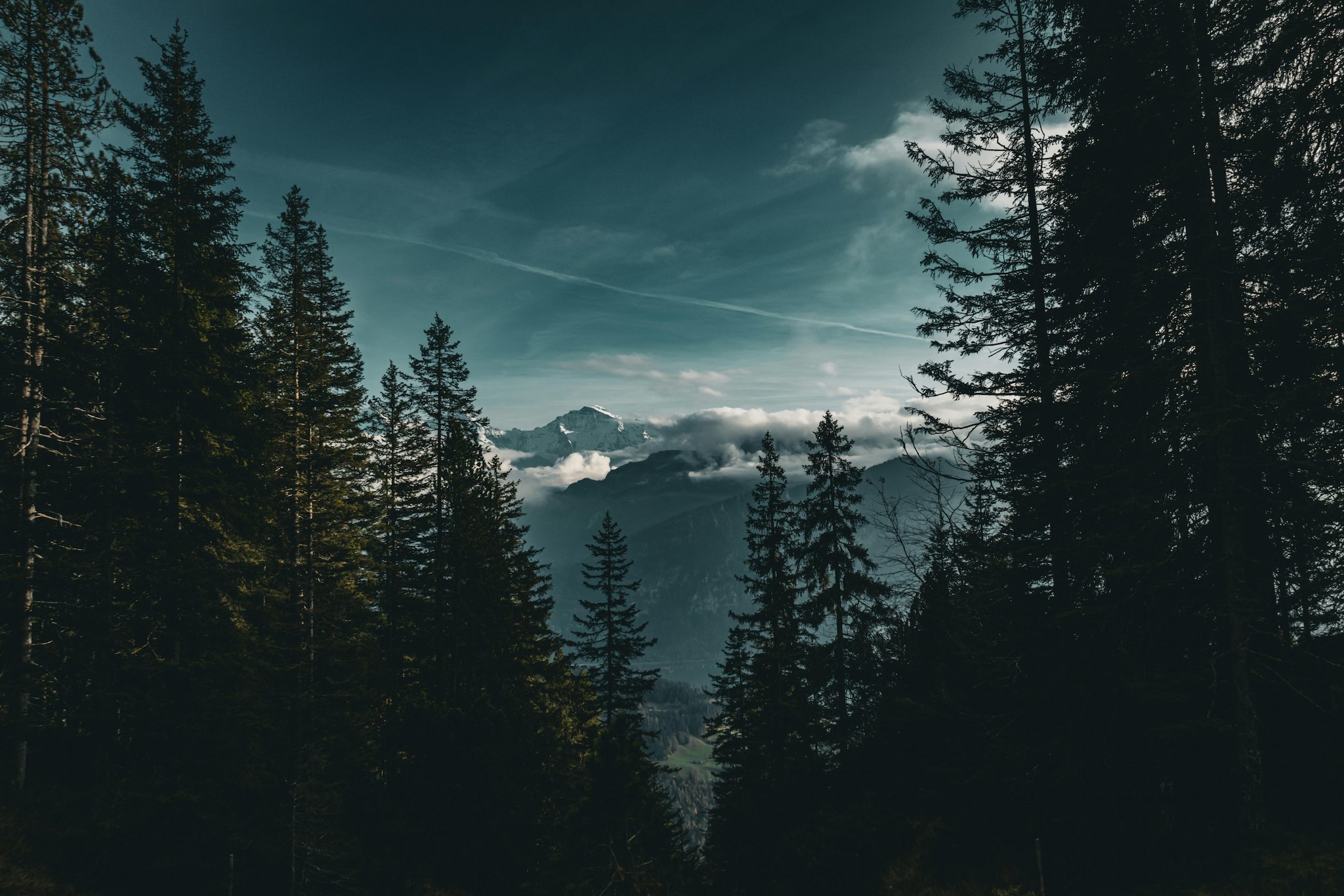 Capricorn: Focused, disciplined, and goal-oriented, Capricorn will find peace in the breathtaking grandeur of the Swiss Alps. (Image: Pexels) Capricorn: Focused, disciplined, and goal-oriented, Capricorn will find peace in the breathtaking grandeur of the Swiss Alps. (Image: Pexels)