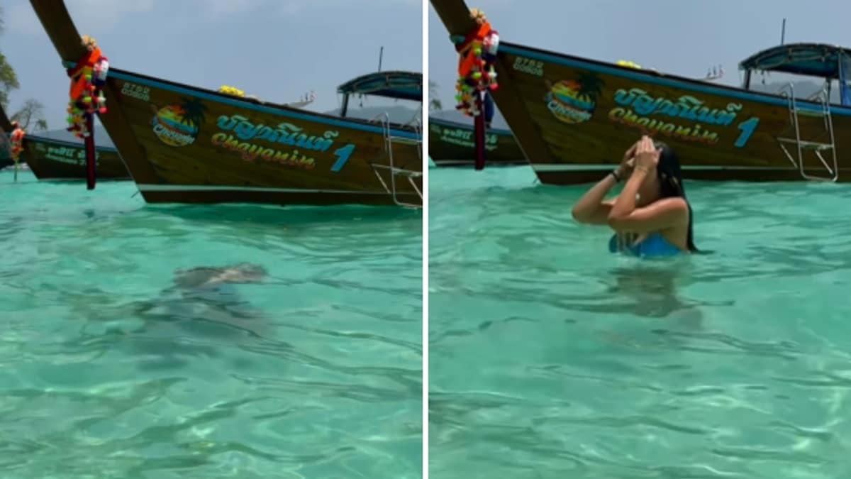 ‘Wish Someone Warned Me’: Tourist Hospitalised After Swimming At Thailand’s Monkey Bay