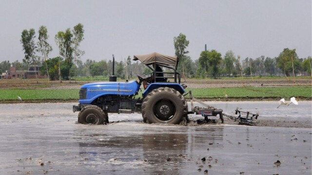 The farmers are besides  pinning their hopes connected  IMD’s archetypal  long-range forecast of above-normal monsoon this year, indicating a higher probability of excess rains, astatine  slightest  105% supra  the long-period mean  (LPA). (Representational Image)