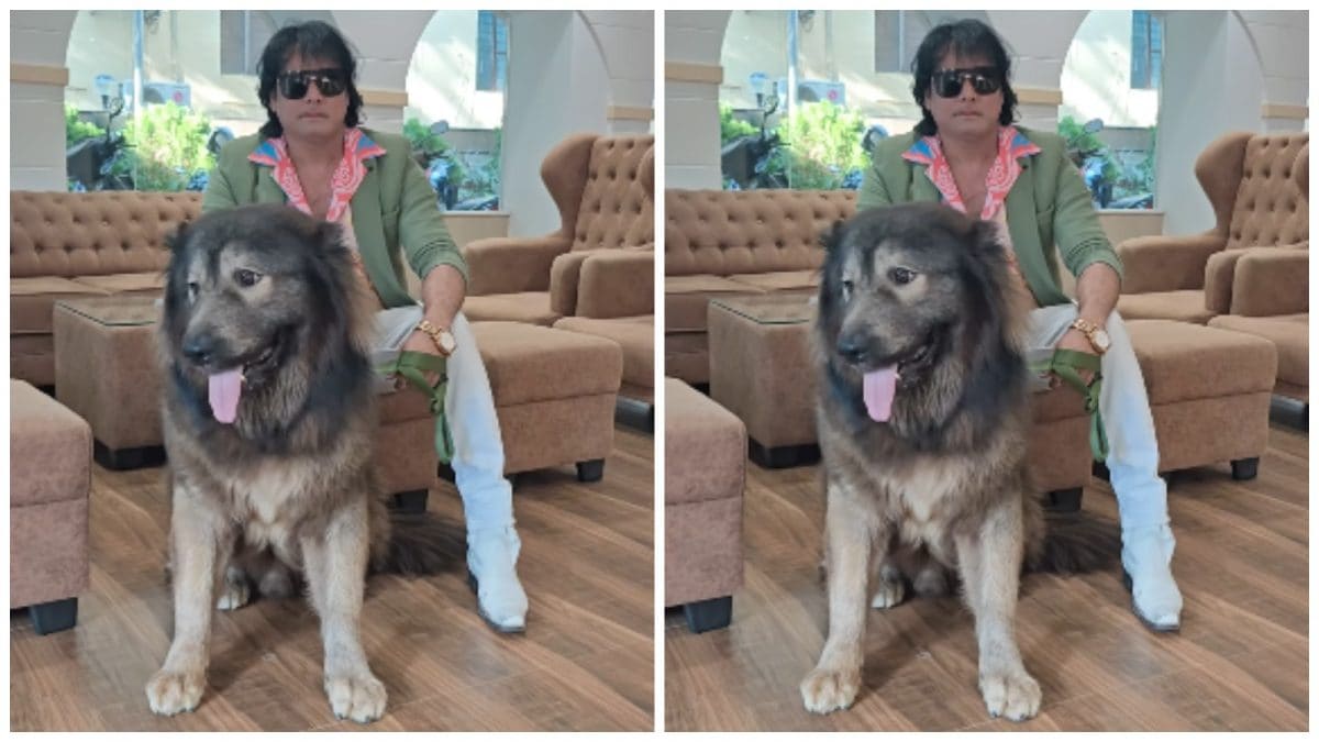 Bengaluru Man's Rs 50 Crore 'Wolf-Dog' Claim Triggers ED Raid At
