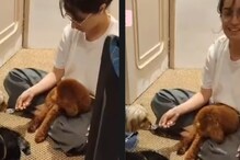 Shraddha Kapoor Marks Pet Shyloh’s 14th Birthday With A Fun-Filled Furry Affair Shraddha Kapoor Marks Pet Shyloh’s 14th Birthday With A Fun-Filled Furry Affair