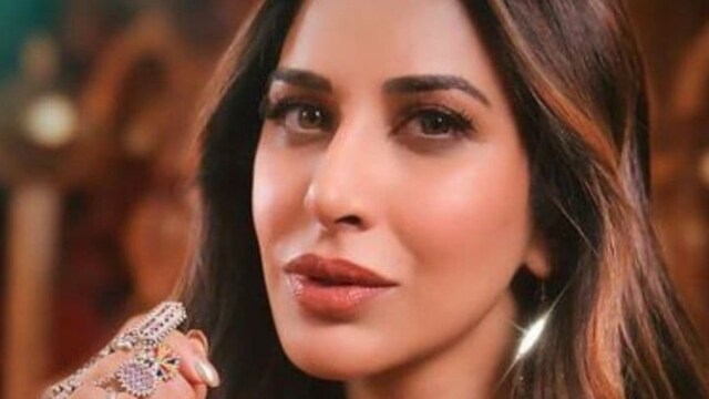 Sophie Choudry revealed a disturbing incidental  wherever  a antheral   exposed himself to her successful  Mumbai's Bandra. The singer-actress called the incidental  “disgusting” and urged for nationalist   information   awareness.
