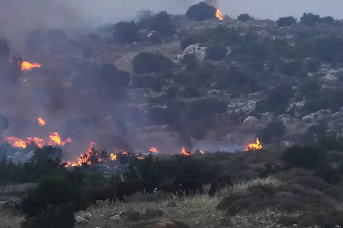 Israel Faces ‘National Emergency’ As Worst Fires In A Decade Rage Outside Jerusalem Israel Faces ‘National Emergency’ As Worst Fires In A Decade Rage Outside Jerusalem