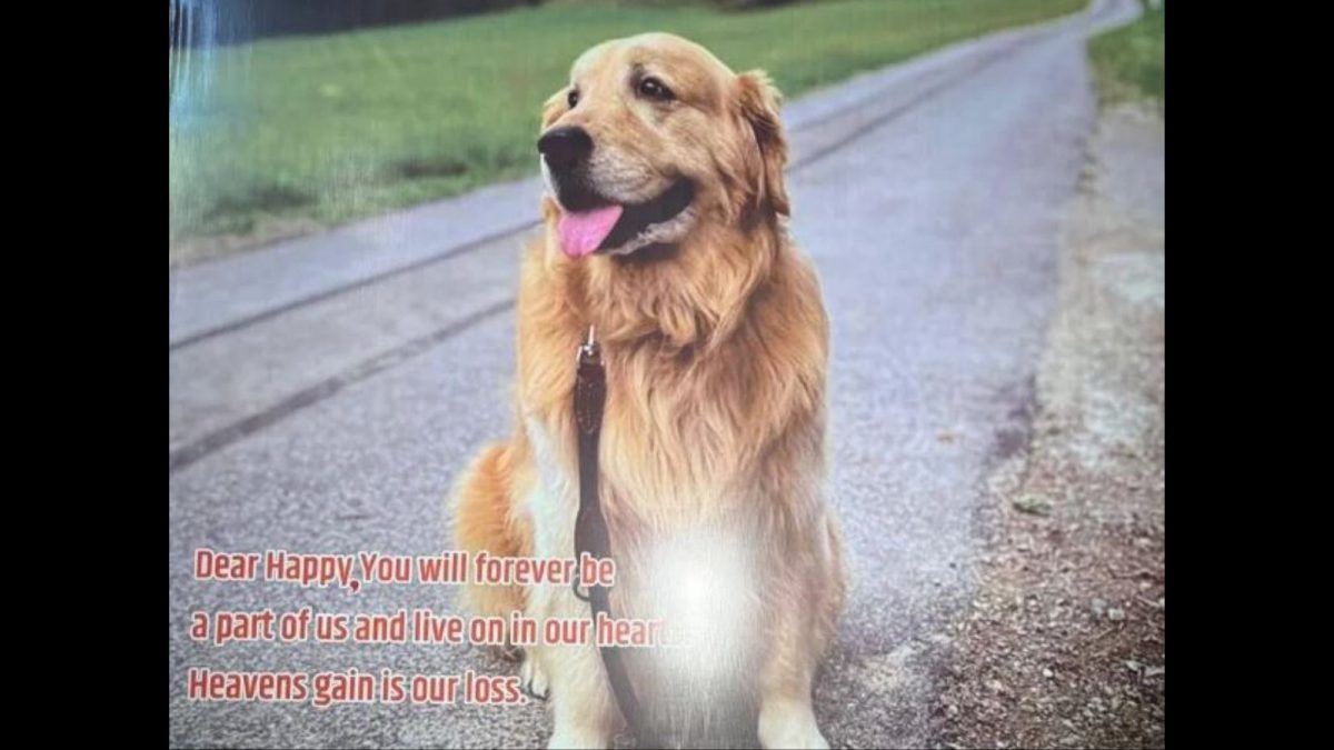 ‘Heaven’s Gain Is Our Loss’: Anant Ambani’s Pet Dog Happy Passes Away, Family Pens Emotional Note