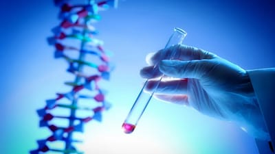  the 'RNA world' and the 'thioester world', where thioesters are considered the energy source for early life. Representational image