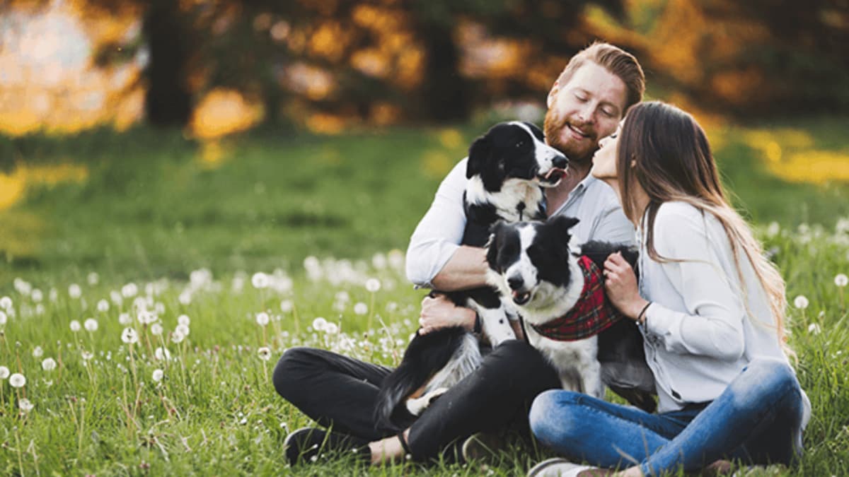 Your Pet Might Know Your Next Match Better Than You Do