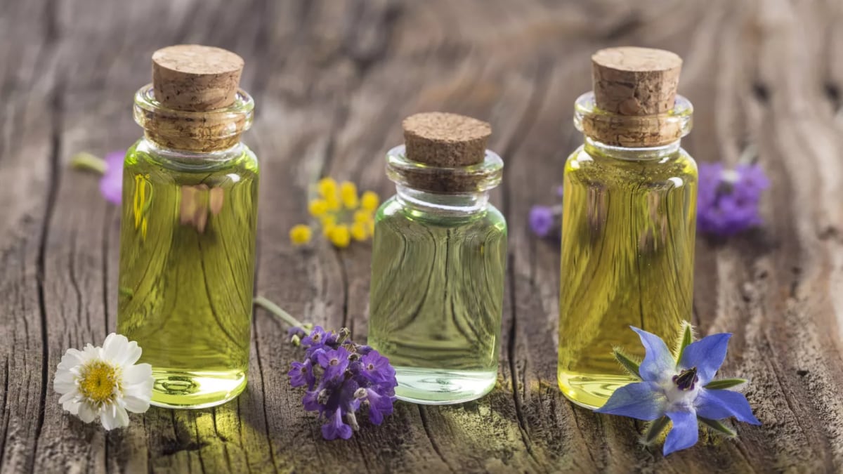 Essential Oils for Hair Growth: What Works and What’s a Myth?