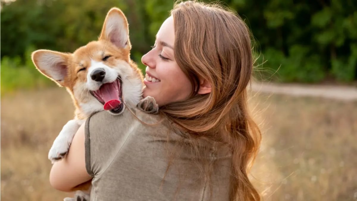 Love, Loyalty And Leashes: The Unspoken Bonds of Pet Motherhood – News18