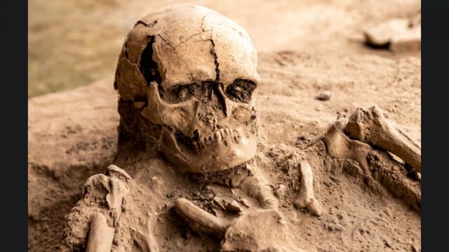 The eerie silence and decaying remains have earned it the name Deadman’s Island , a place that few dare to visit. (News18 Hindi)