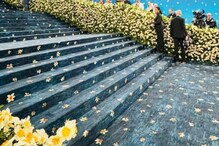 Met Gala 2025: DYK The Dazzling Daffodils Has A Greek Mythology Connection? Met Gala 2025: DYK The Dazzling Daffodils Has A Greek Mythology Connection?