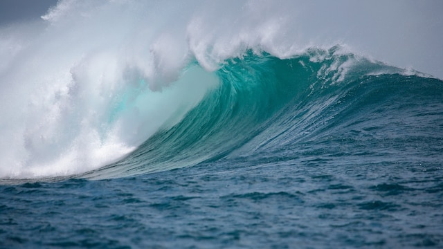 In just 20 years, more than 21 per cent of the global ocean has lost measurable sunlight.