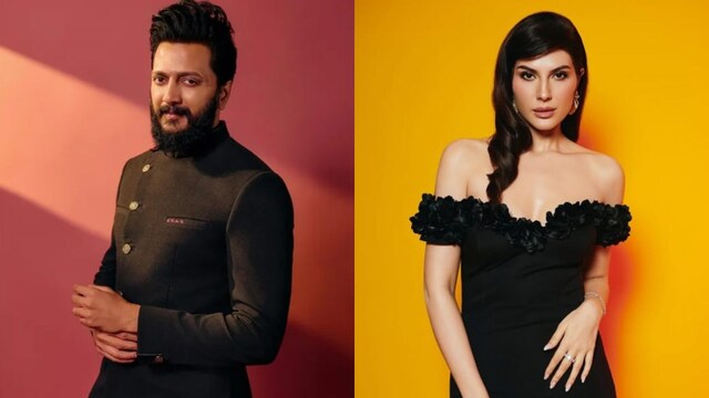 Riteish Deshmukh, Elnaaz Norouzi successful  Masti 4