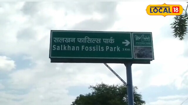 Despite its status as one of the oldest and largest fossil sites in the world, Salkhan Fossils Park remains largely underdeveloped. (Local18)