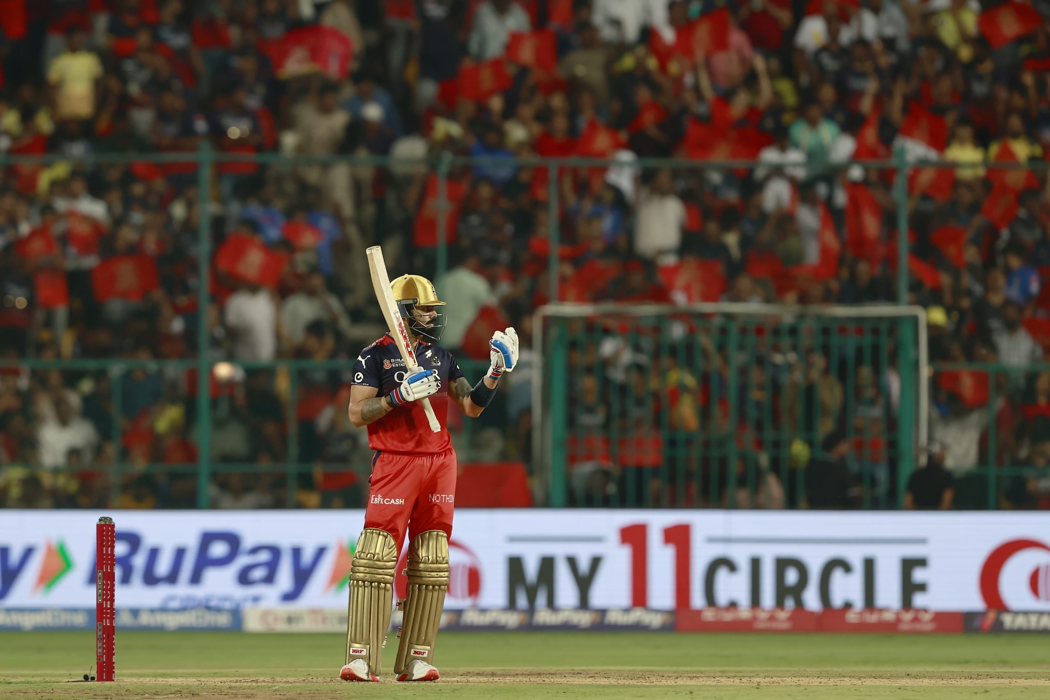 IPL 2025 M52 - RCB v CSK IPL 2025 M52 - RCB v CSK