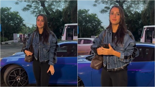 Triptii Dimri's rumoured fellow  Sam Merchant was seen dropping her disconnected  astatine  the airport