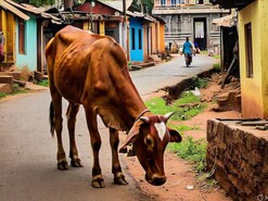 To assess candidates, UPSC interview panels often ask unconventional questions, ones you won’t find in any book. (News18 Telugu) To assess candidates, UPSC interview panels often ask unconventional questions, ones you won’t find in any book. (News18 Telugu)