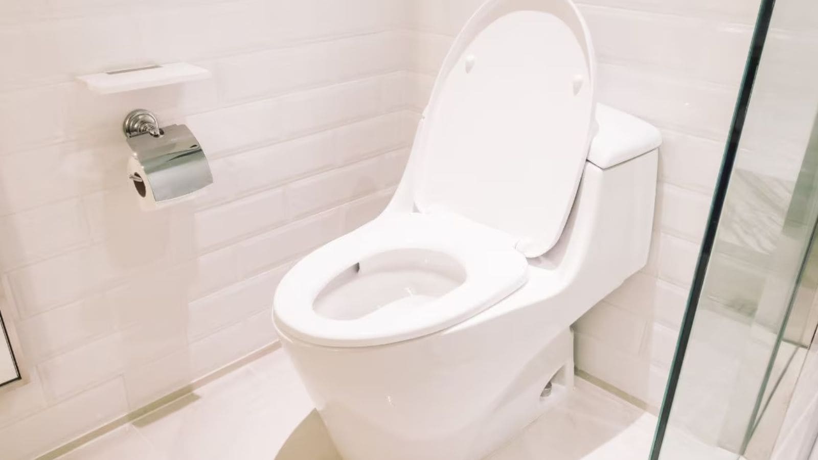 Noida Man Suffers 35% Burns After Toilet Seat Explodes Noida Man Suffers 35% Burns After Toilet Seat Explodes
