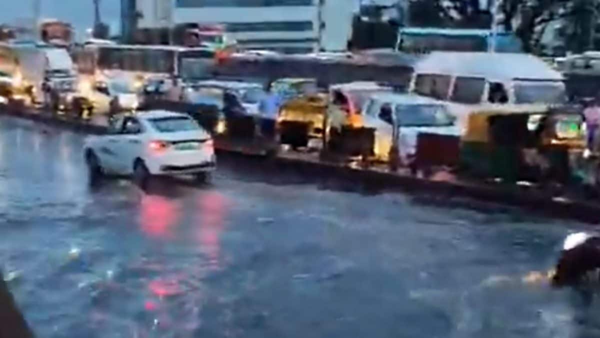 Bengaluru Rains: Electronics City Flyover Shut Amid Flooding, Commuters Face Hours-Long Delays