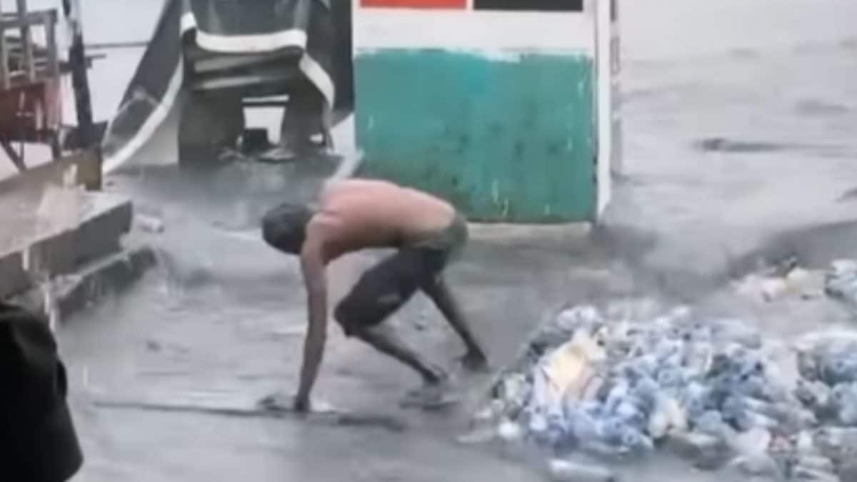 Man Climbs Out Of Manhole And Reenacts Gorilla Scene In Crazy Viral Video