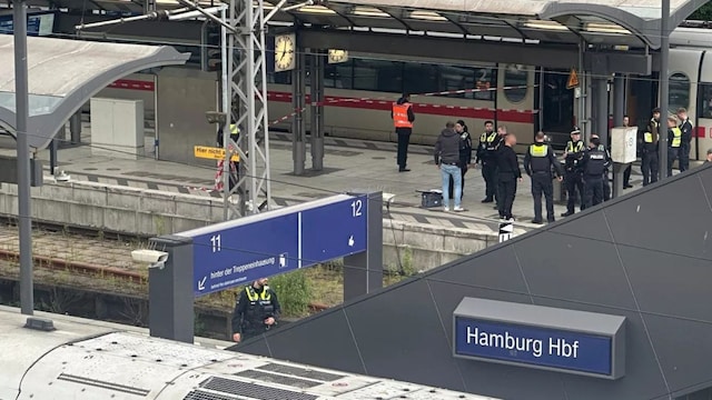 12 Injured In Knife Attack At Hamburg Train Station In Germany. (AP)
