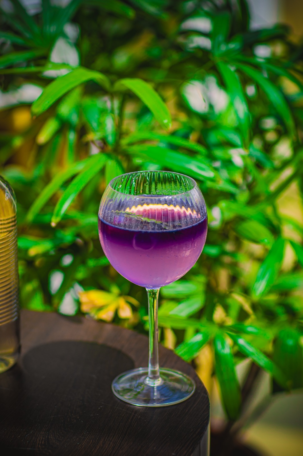 9 DIY Cocktails to Try at Home This World Cocktail Day