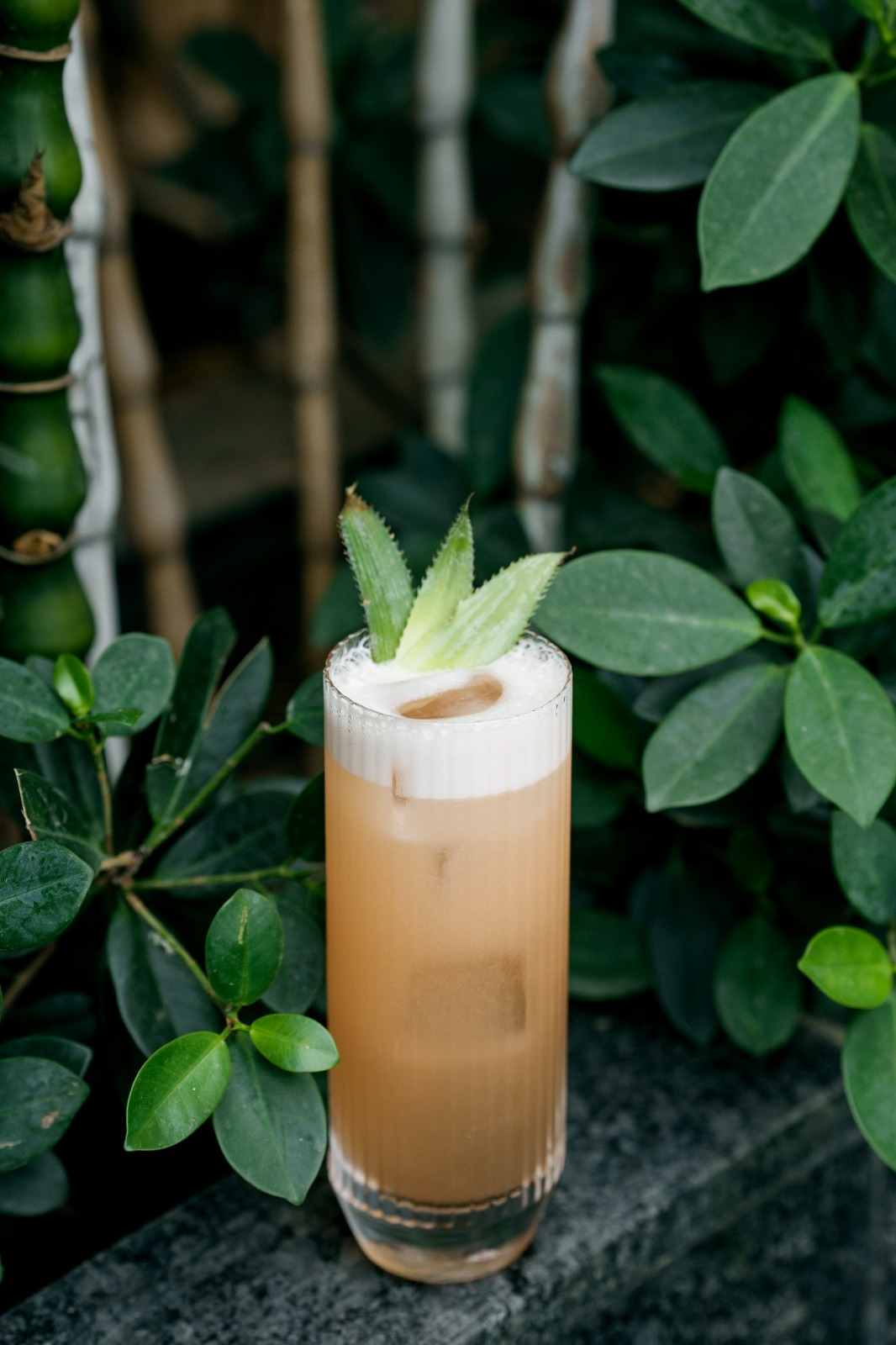 12 Must-Try Cocktails to Celebrate World Cocktail Day - News18 3 WhatsApp Image 2025 05 14 at 11.37.57 AM 2025 05 62be58e19c9b35ba2c1b5ace0cac80b4