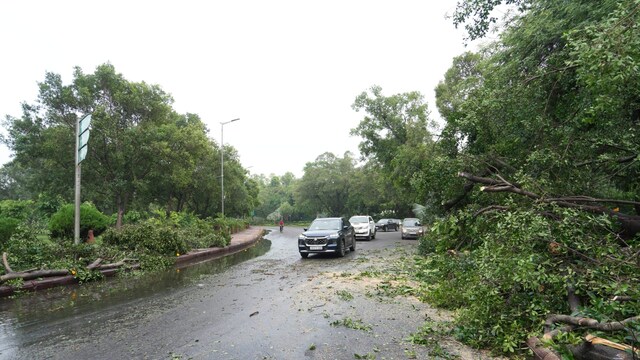 Vehicles pass as trees lie uprooted on both sides of the road following strong winds and rainfall in New Delhi. (PTI file photo)