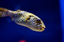 Astronauts May Soon Be Able To Fish On The Moon